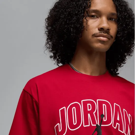 Футболка Nike Air Jordan Brooklyn IB7347-687