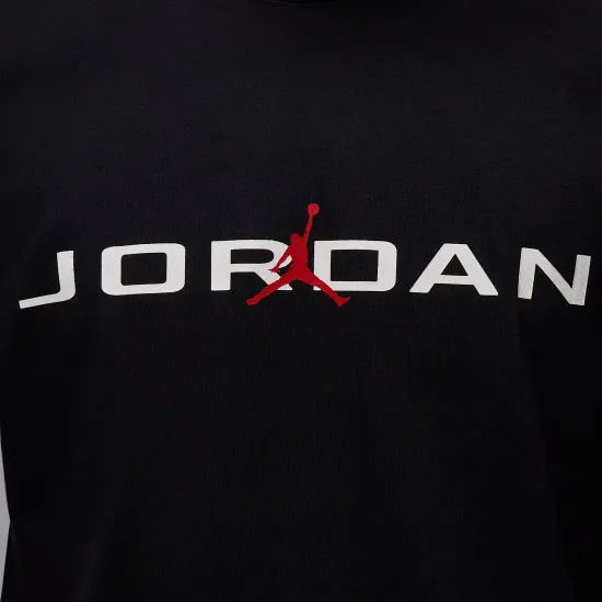 Футболка Nike Air Jordan Ss Crew IB7353-010