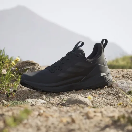 Кросівки Adidas Terrex Free Hiker 2.0 Low IE5110