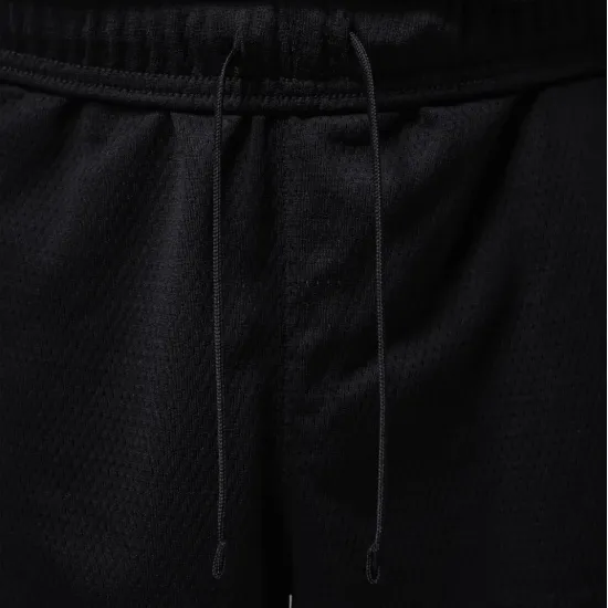 Шорти Nike Air Jordan Dri-FIT Mesh Graphic IF0872-010