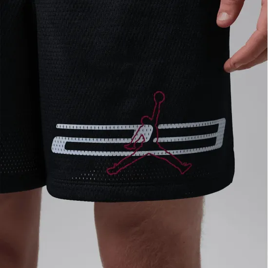 Шорти Nike Air Jordan Dri-FIT Mesh Graphic IF0872-010