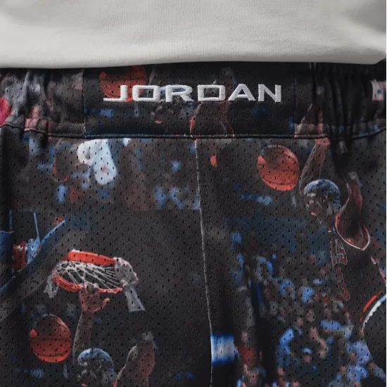 Шорти Nike Air Jordan Flight Printed Cat Scratch IF1841-010