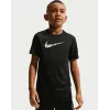 Футболка Nike Trophy23 Dri-FIT IF2434-011