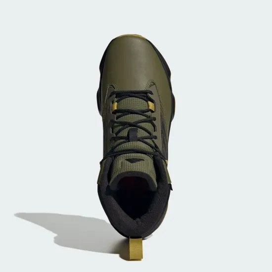 Черевики Adidas Terrex Unity Leather Mid COLD.RDY IF4988