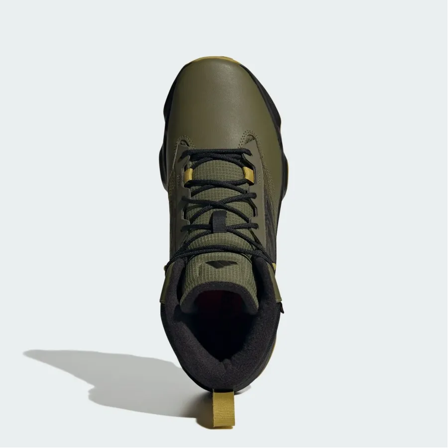 Черевики Adidas Terrex Unity Leather Mid COLD.RDY IF4988