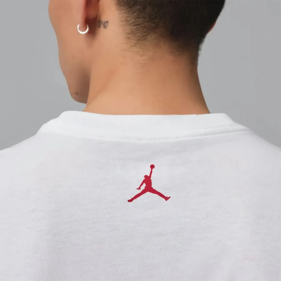 Футболка Nike Air Jordan Embroidered IF5572-100