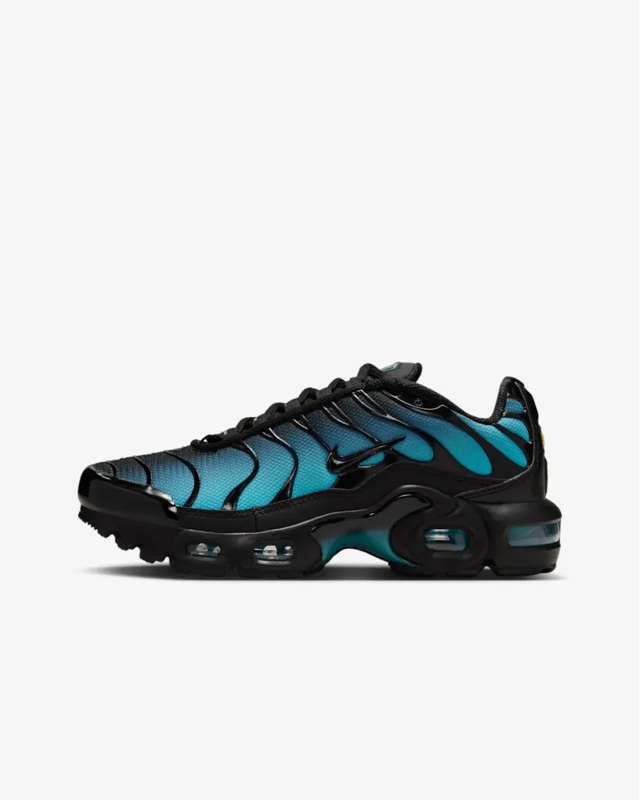Кросівки Nike Air Max Plus IF6169-001