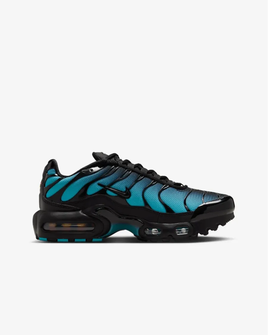Кросівки Nike Air Max Plus IF6169-001