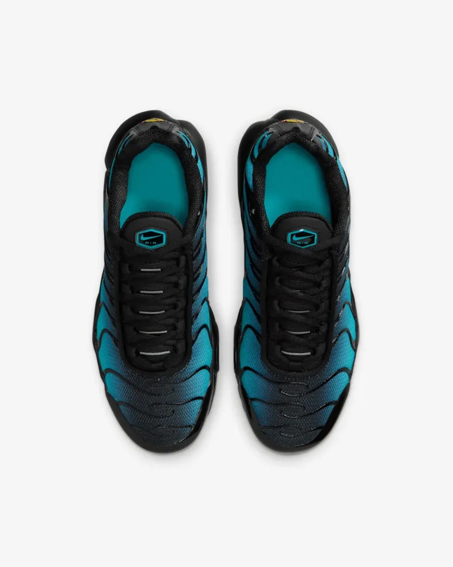Кросівки Nike Air Max Plus IF6169-001