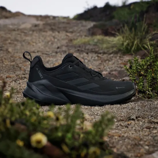 Кросівки Adidas Terrex Trailmaker 2.0 Gore-Tex IH0617