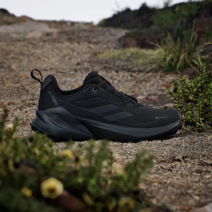 Кросівки Adidas Terrex Trailmaker 2.0 Gore-Tex IH0617