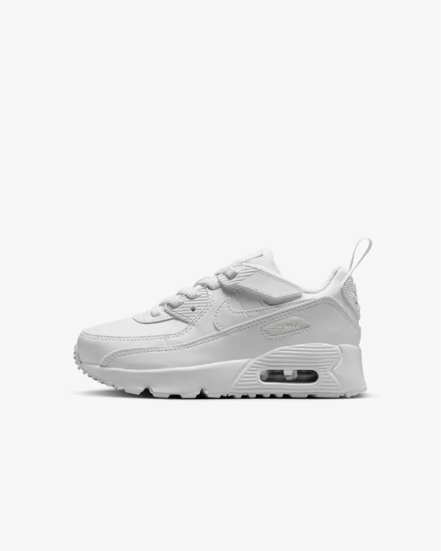 Кросівки Nike Air Max 90 EasyOn IH1417-133