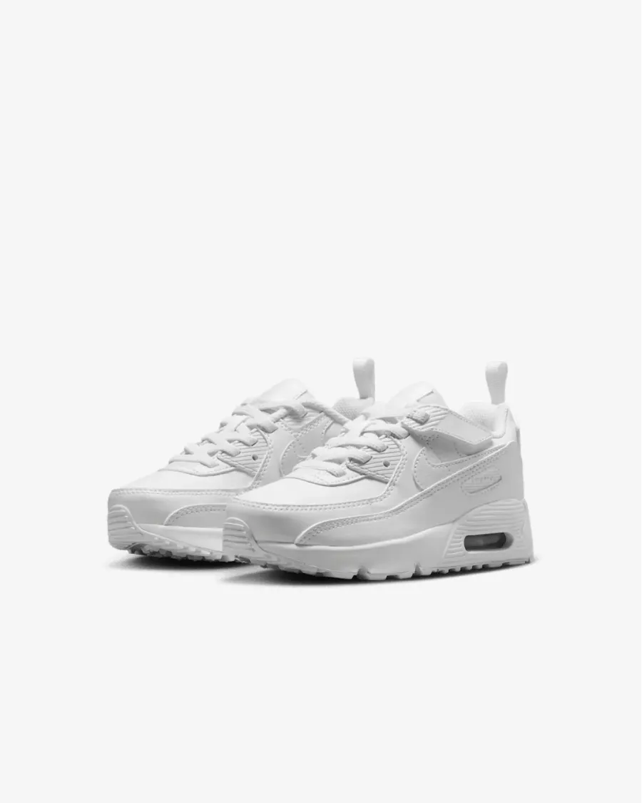 Кросівки Nike Air Max 90 EasyOn IH1417-133