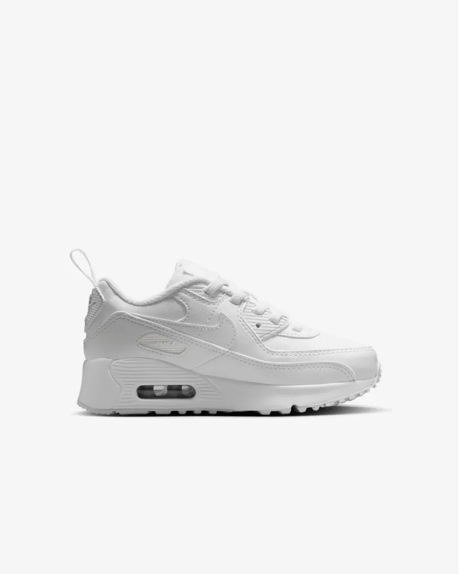 Кросівки Nike Air Max 90 EasyOn IH1417-133