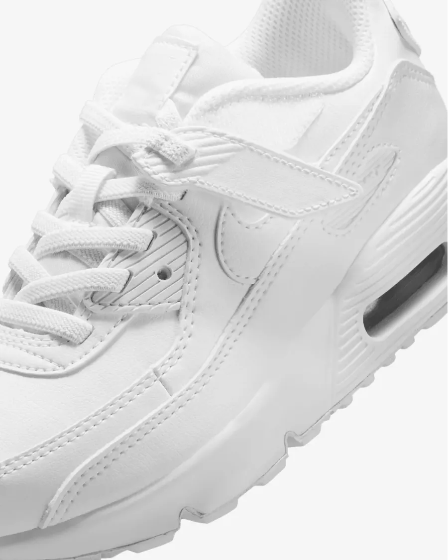 Кросівки Nike Air Max 90 EasyOn IH1417-133