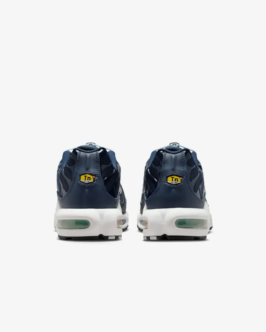 Кросівки Nike Air Max Plus Drift IH4459-473