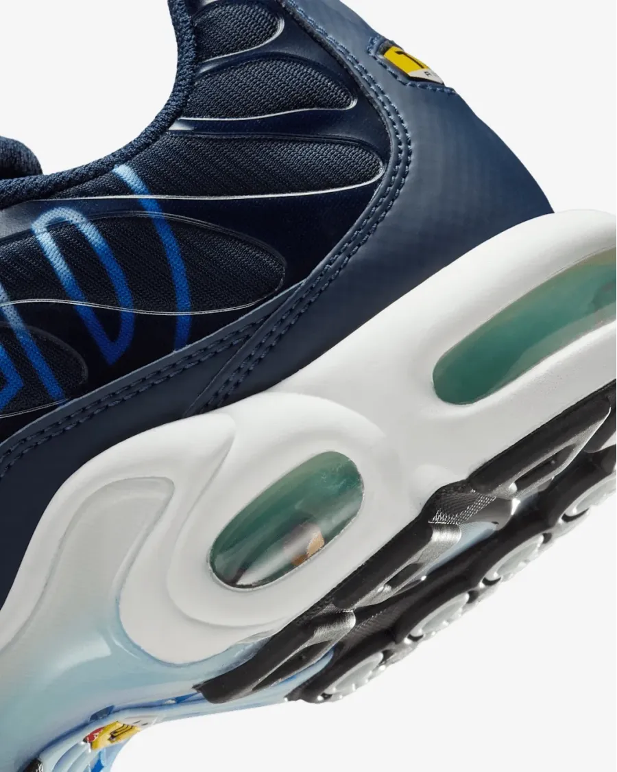 Кросівки Nike Air Max Plus Drift IH4459-473