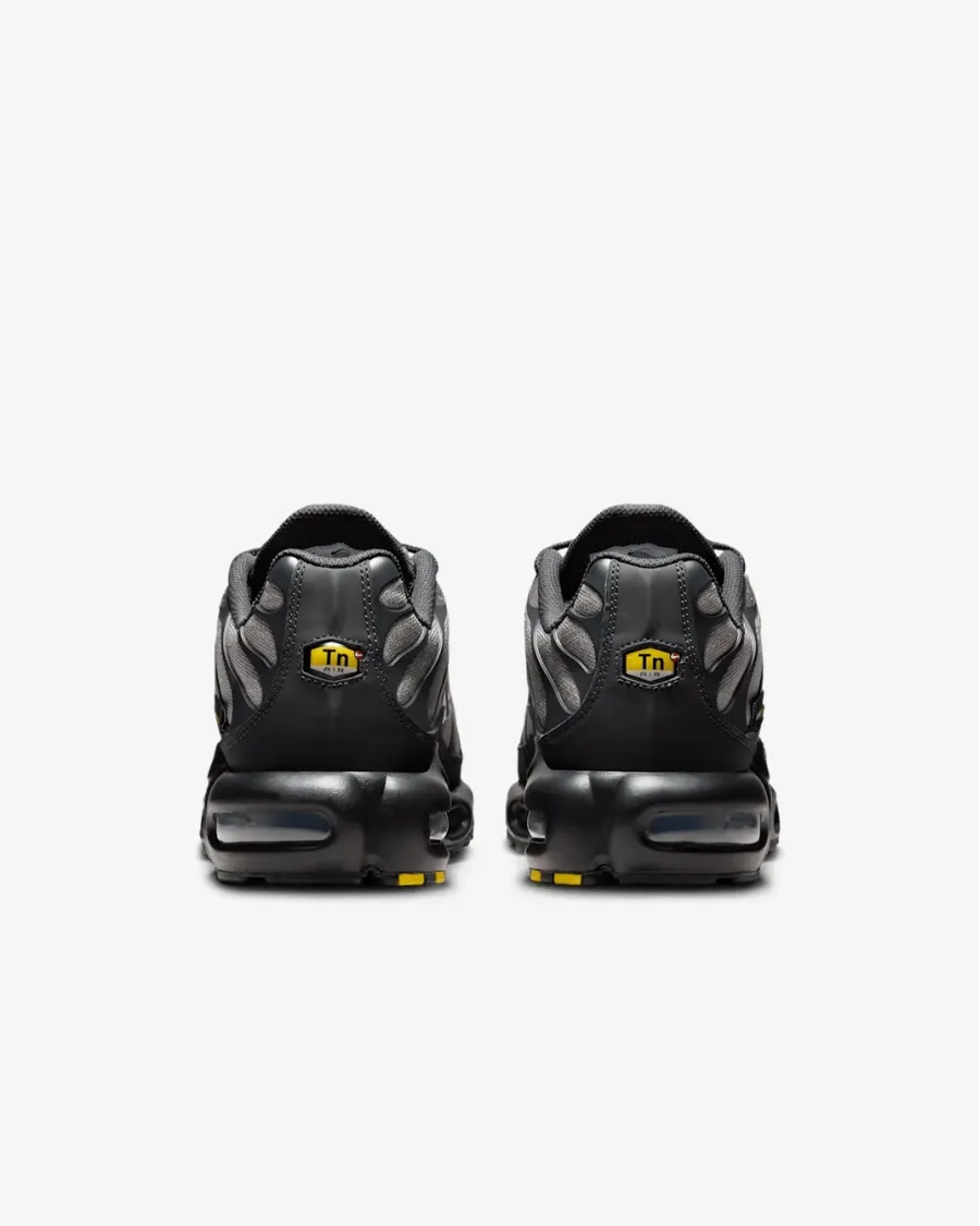 Кросівки Nike Air Max Plus Cordura IM5983-070