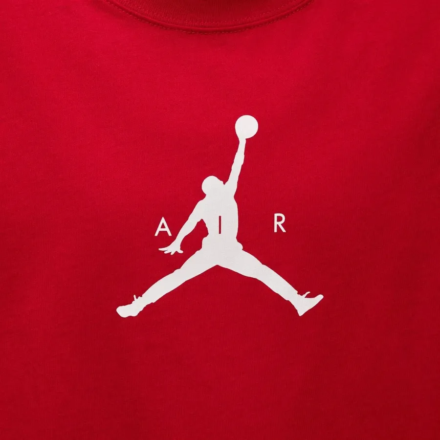 Футболка Nike Air Jordan Jumpman IM9809-687
