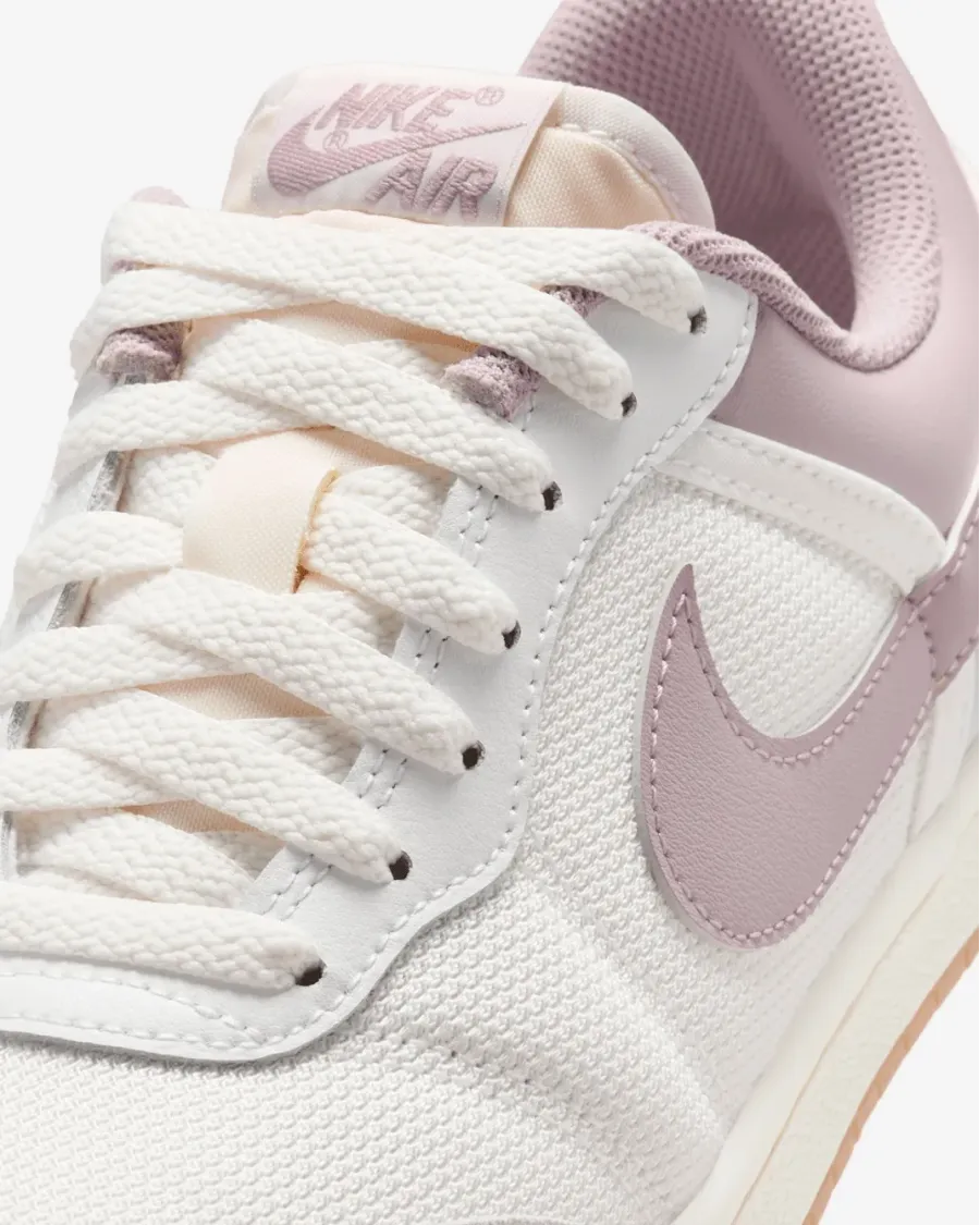 Кросівки Nike Air Jordan Skyline Low IQ0704-100