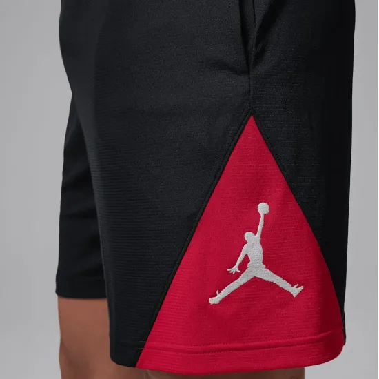 Шорти Nike Air Jordan Jordan Sport Dri-FIT IQ5775-010