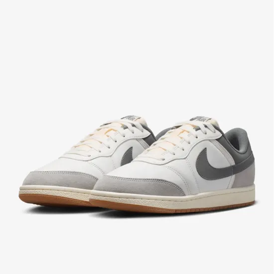Кросівки Nike Air Jordan Skyline Low LE IQ6425-100