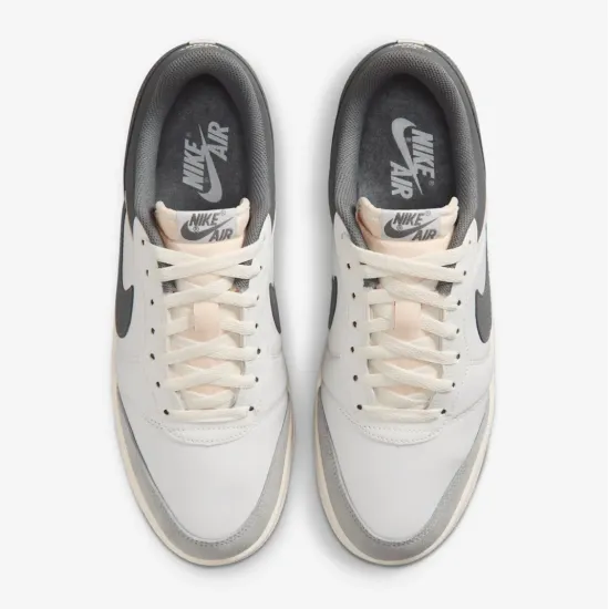 Кросівки Nike Air Jordan Skyline Low LE IQ6425-100