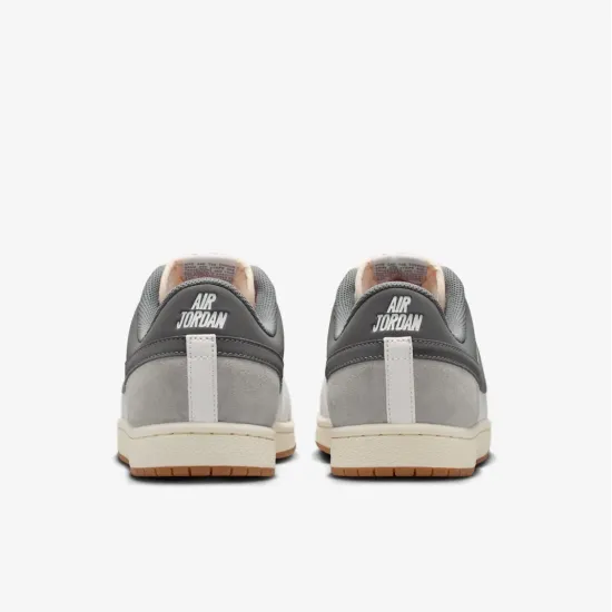 Кросівки Nike Air Jordan Skyline Low LE IQ6425-100