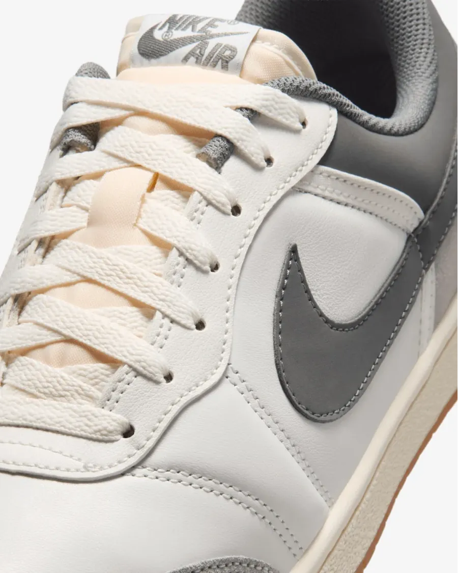 Кросівки Nike Air Jordan Skyline Low LE IQ6425-100