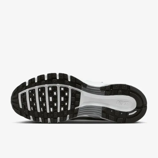 Кросівки Nike P-6000 IR2004-100