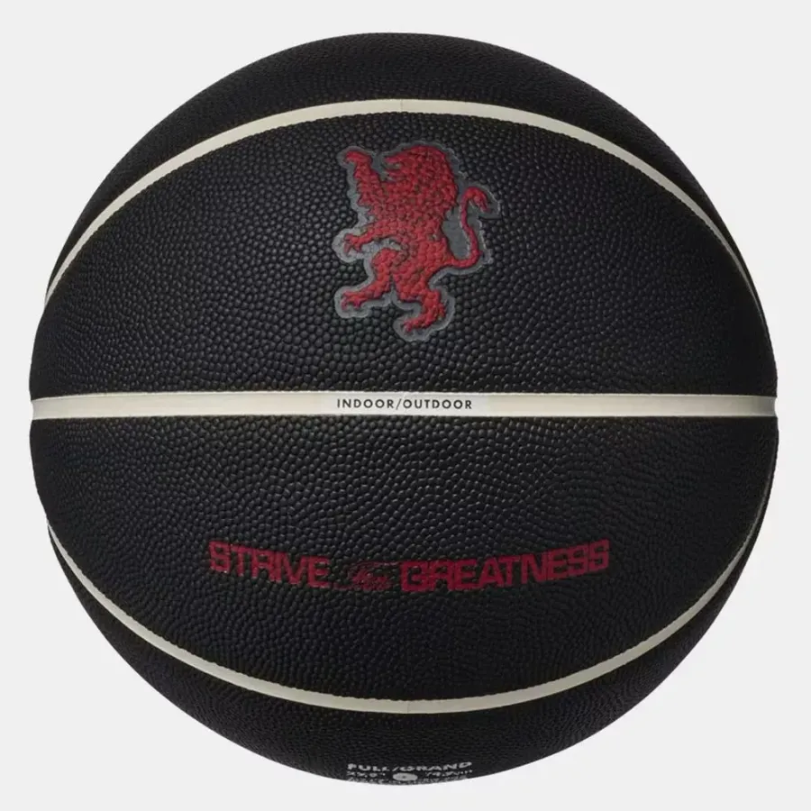 М’яч Nike All Court 8P 2.0 LeBron James N.100.4368.097.07