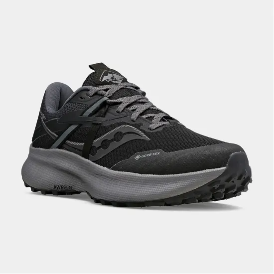 Кросівки Saucony Ride 15 Tr Gtx S10799-10