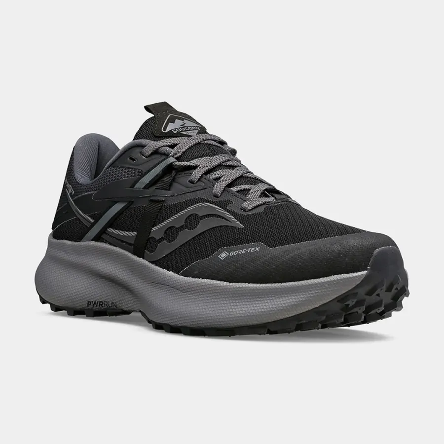 Кросівки Saucony Ride 15 Tr Gtx S10799-10