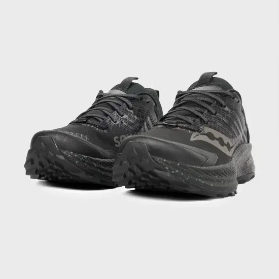 Кросівки Saucony Ride Tr2 Gtx S10953-14