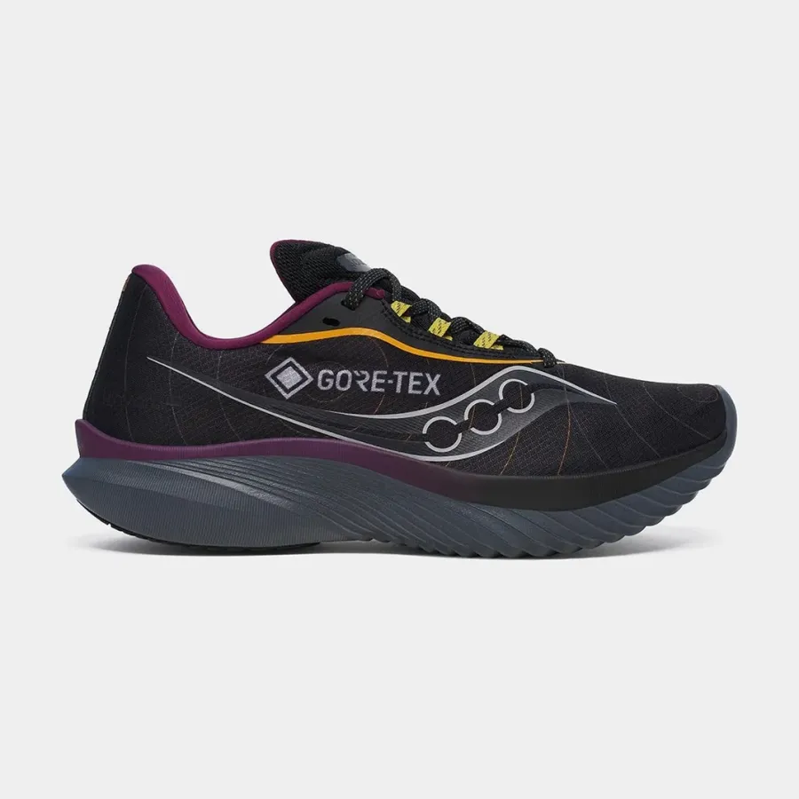 Кросівки Saucony Kinvara 15 Gtx S10969-250