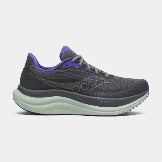 Кросівки Saucony Triumph 23 Gtx S11025-01