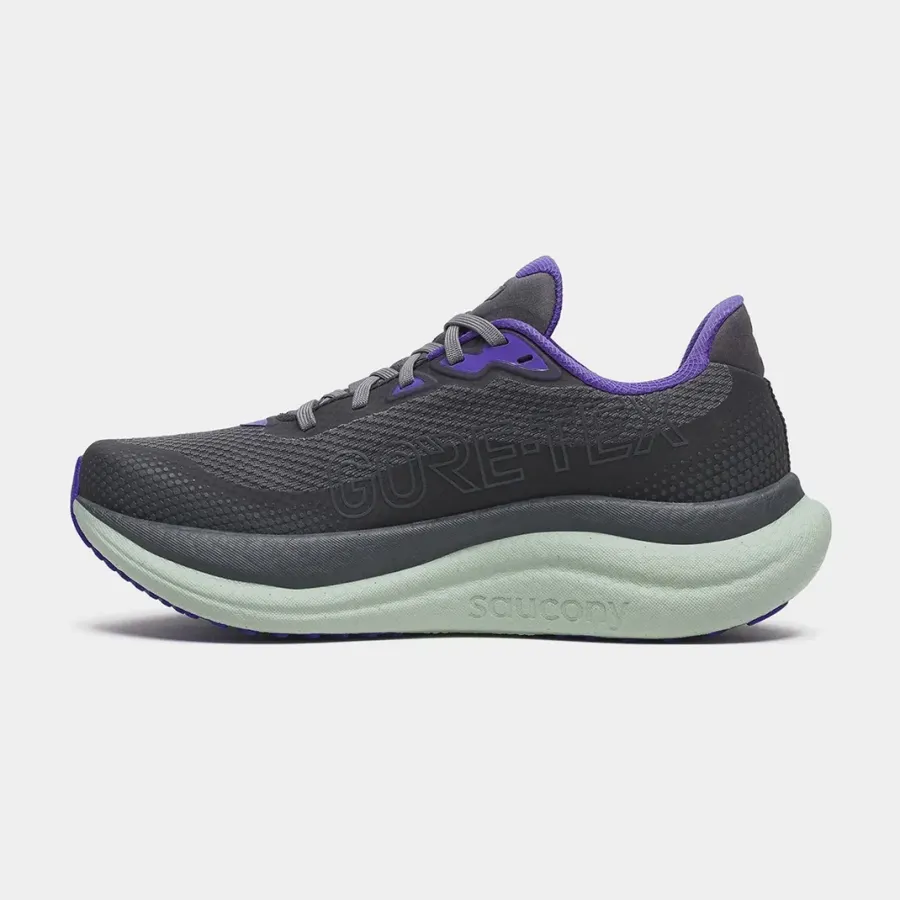 Кросівки Saucony Triumph 23 Gtx S11025-01