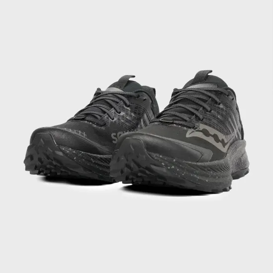 Кросівки Saucony Ride Tr2 Gtx S20953-14