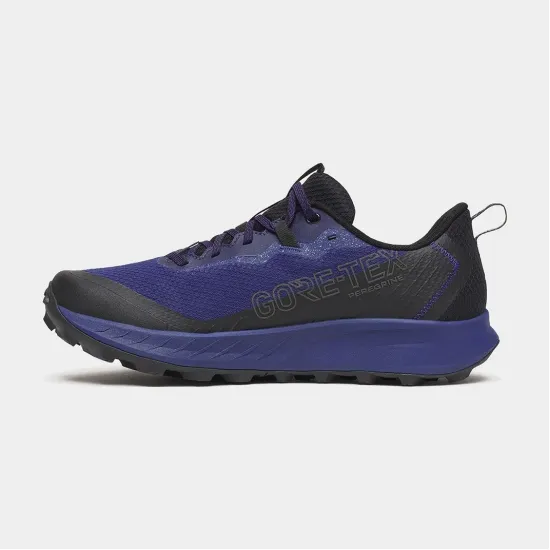 Кросівки Saucony Peregrine 15 Gtx S20992-262