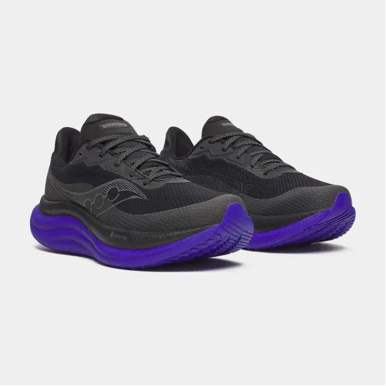 Кросівки Saucony Triumph 23 Gtx S21025-01