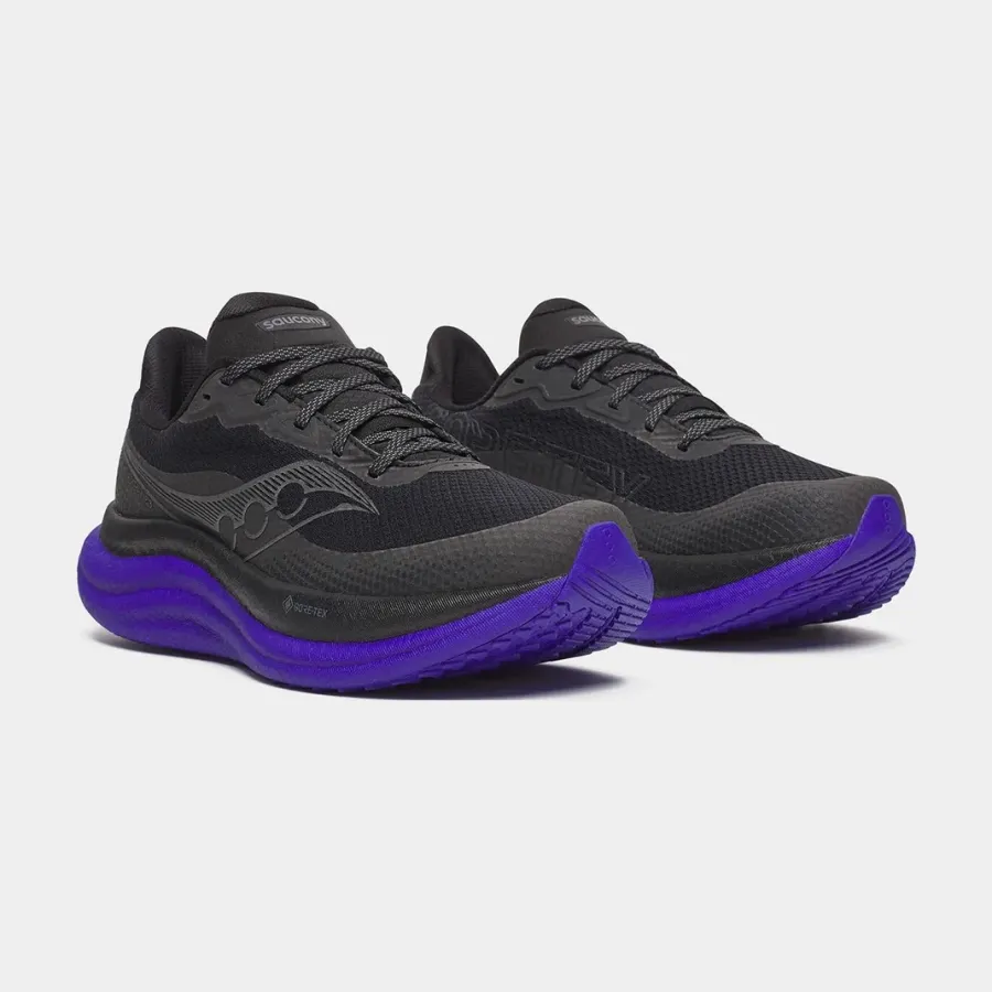 Кросівки Saucony Triumph 23 Gtx S21025-01