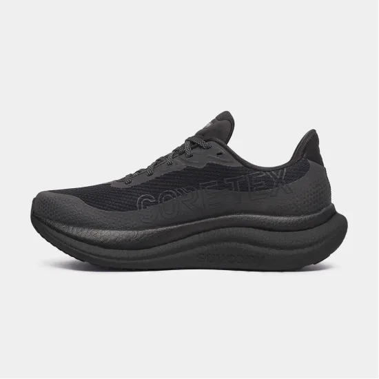 Кросівки Saucony Triumph 23 Gtx S21025-14