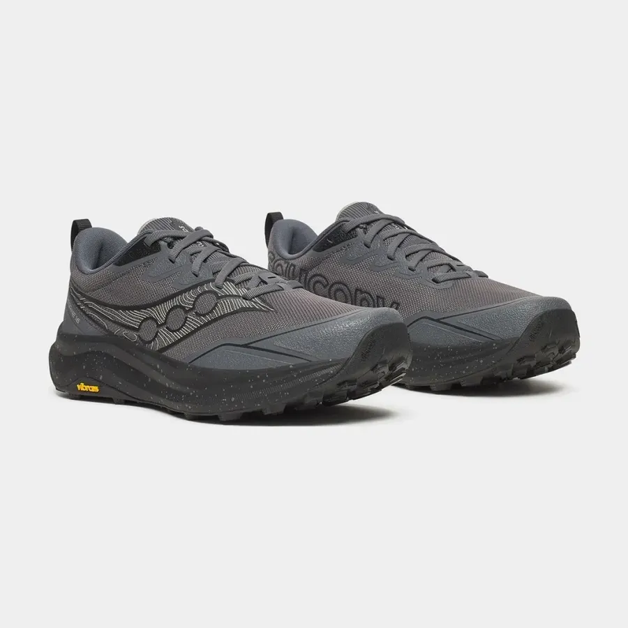Кросівки Saucony Peregrine 16 S21066-101