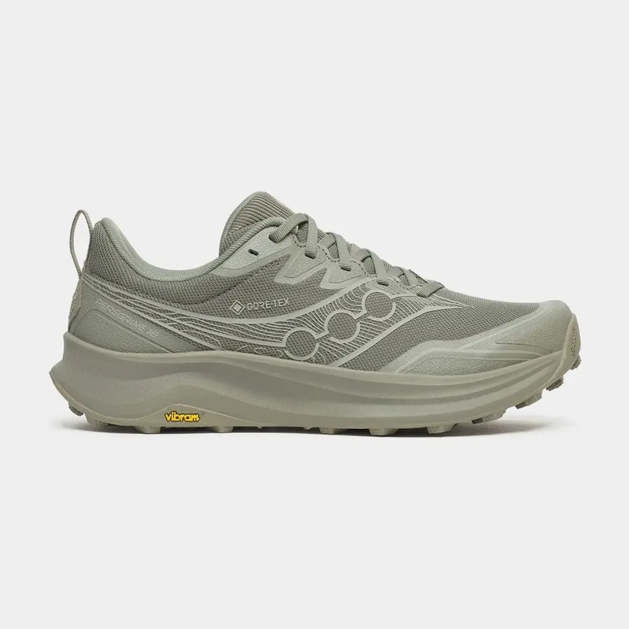 Кросівки Saucony Peregrine 16 Gtx S21068-110
