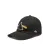 Кепка American Needle Bowie Ballpark Side SMU674A-PFLOYD