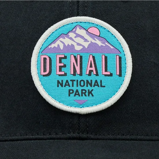 Кепка American Needle Denali NP Hepcat SMU702A-DNP