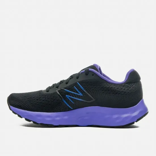 Кросівки New Balance 520 W520BP8