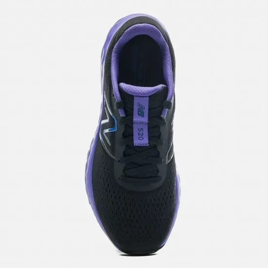 Кросівки New Balance 520 W520BP8