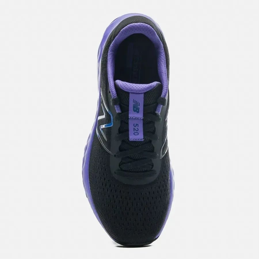 Кросівки New Balance 520 W520BP8
