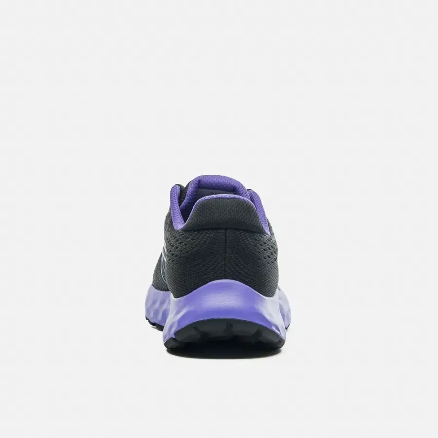 Кросівки New Balance 520 W520BP8